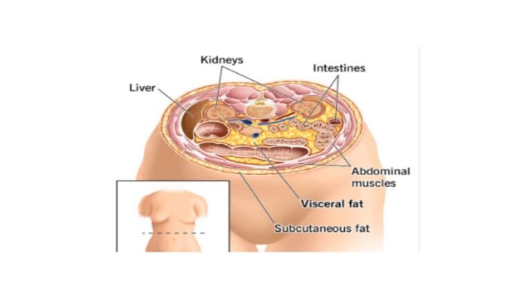 body fat loss